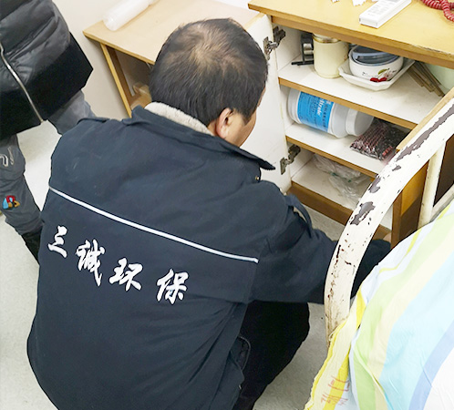 切不可用殺蟲劑噴殺、火燒水中等方法隨意滅殺白蟻
