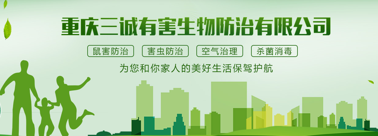 白蟻季來臨，白蟻防治中心科普白蟻紛飛知識